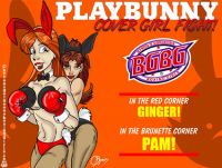 PlayBunny Cover Girl Fight