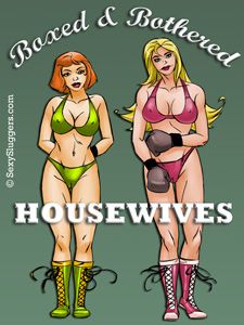 Boxed & Bothered Housewives (PDF)