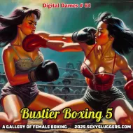 Digital Dames 81: Bustier Boxing 5