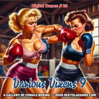 Digital Dames 85: Various Vixens 09