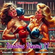 Digital Dames 95: Various Vixens 11