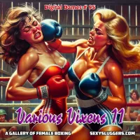 Digital Dames 95: Various Vixens 11