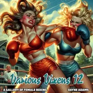 Digital Dames 102: Various Vixens 12
