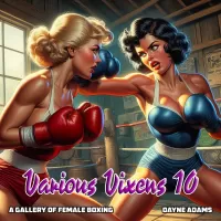 Digital Dames 90: Various Vixens 10